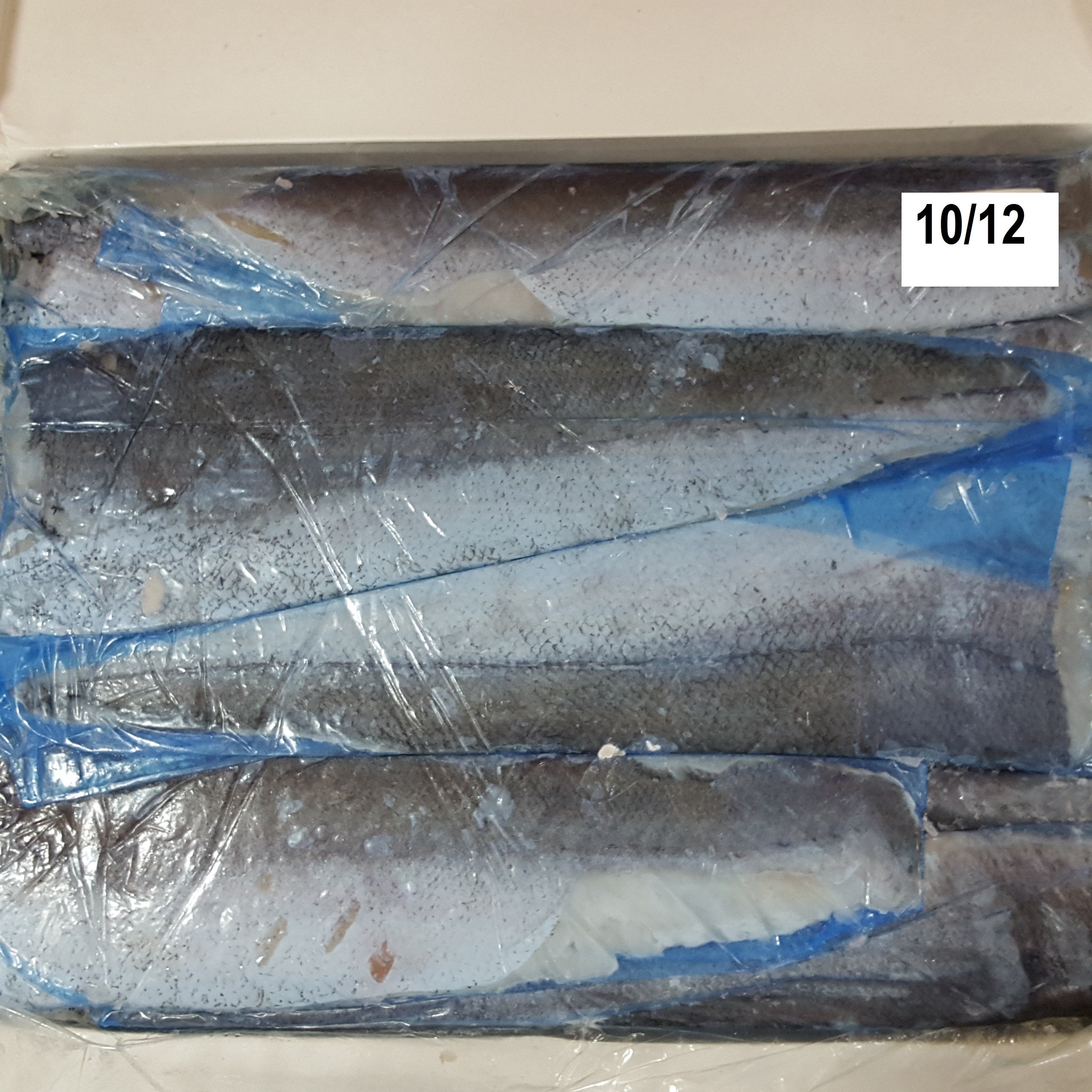 FTE.MZA.C/P 10-12 WEST/PEREIRA 2X5KG