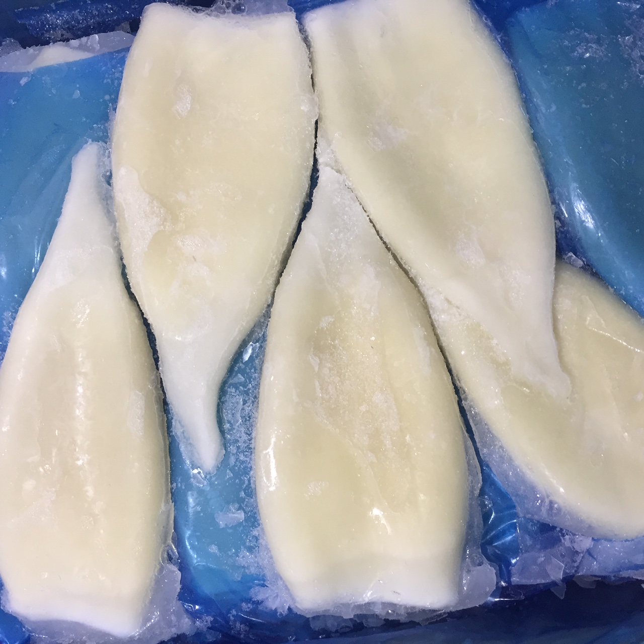 TUBO POTA NURIMAR (5KG)