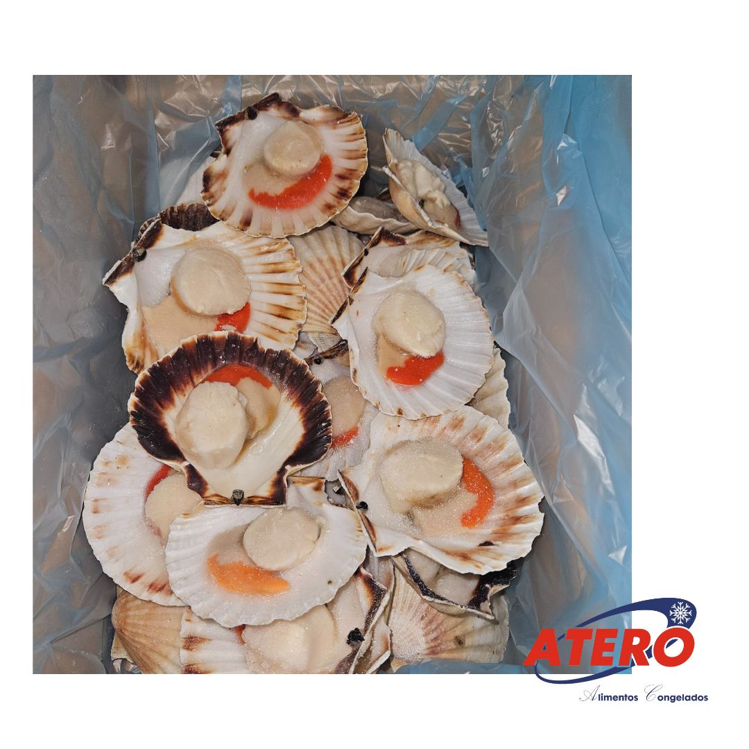 VIEIRA M/C 8/12 CJ.MARRON (5KG)