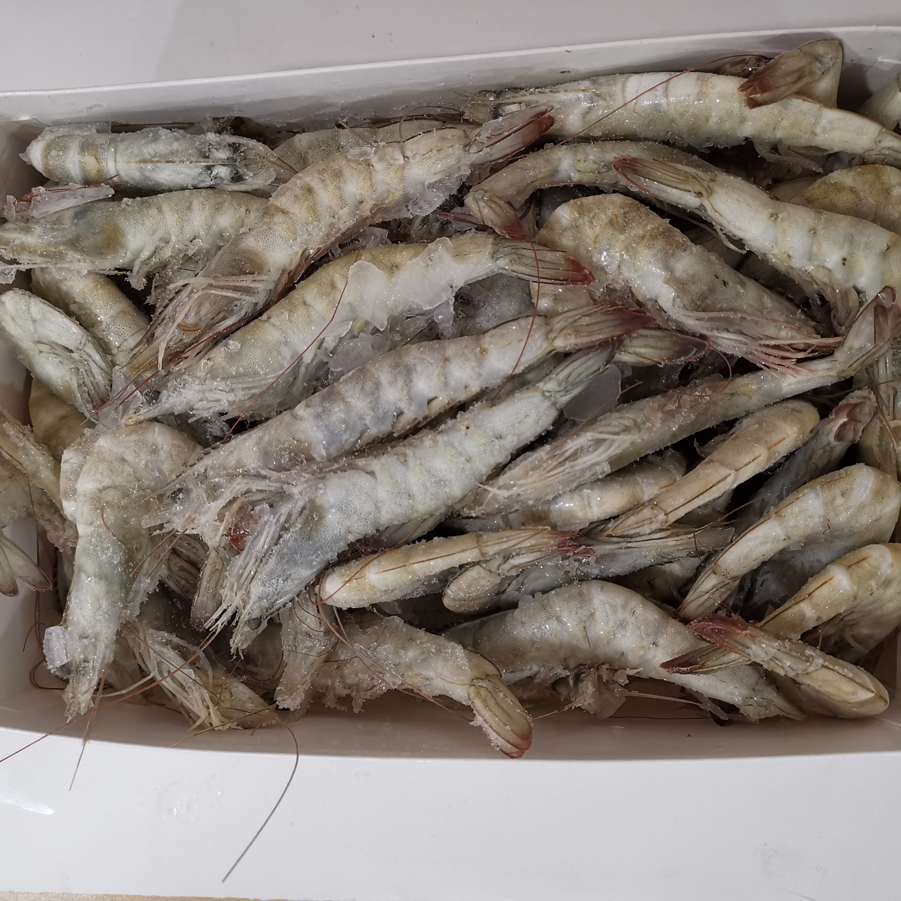 LANG. CRUDO 50/60 CASTELLAR 6X2KG
