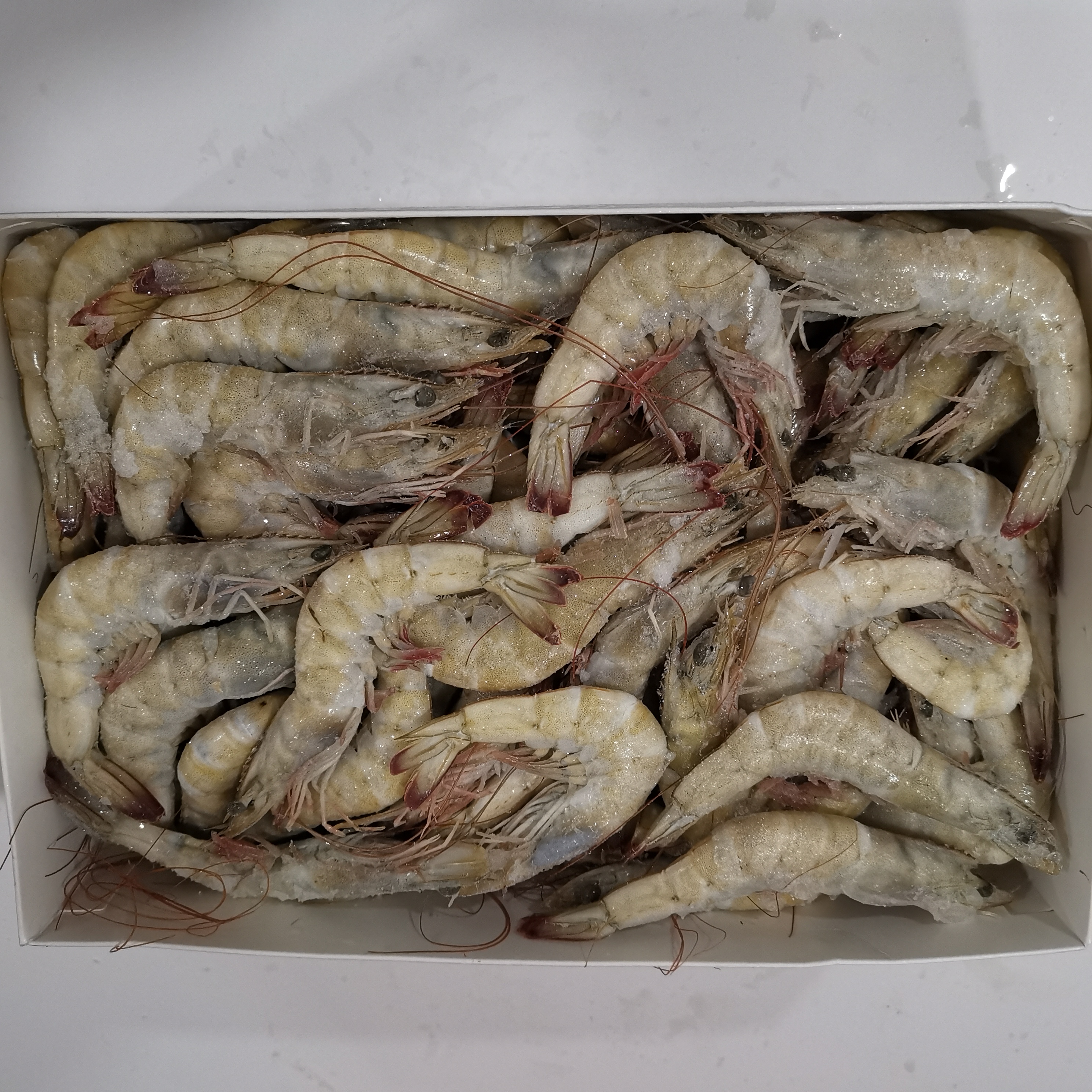 LANG.CRUDO 60/70 CASTELLAR 6X2KG
