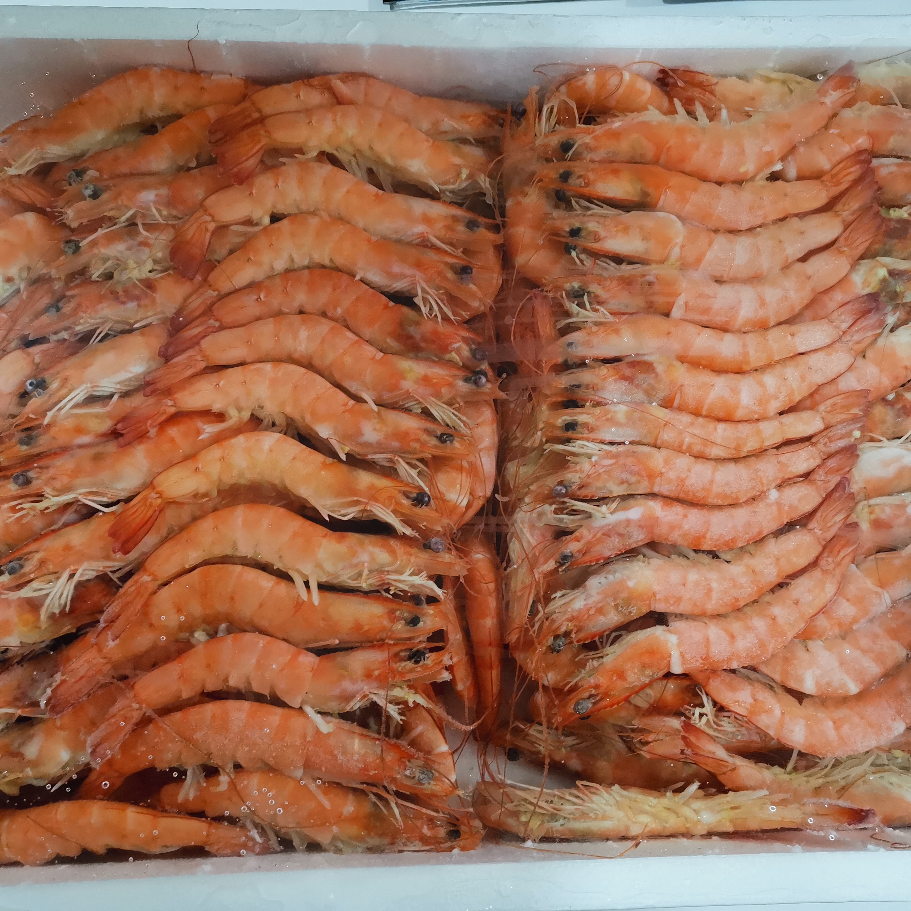 LANG. COCIDO 4XX CASTELLAR 3X4KG