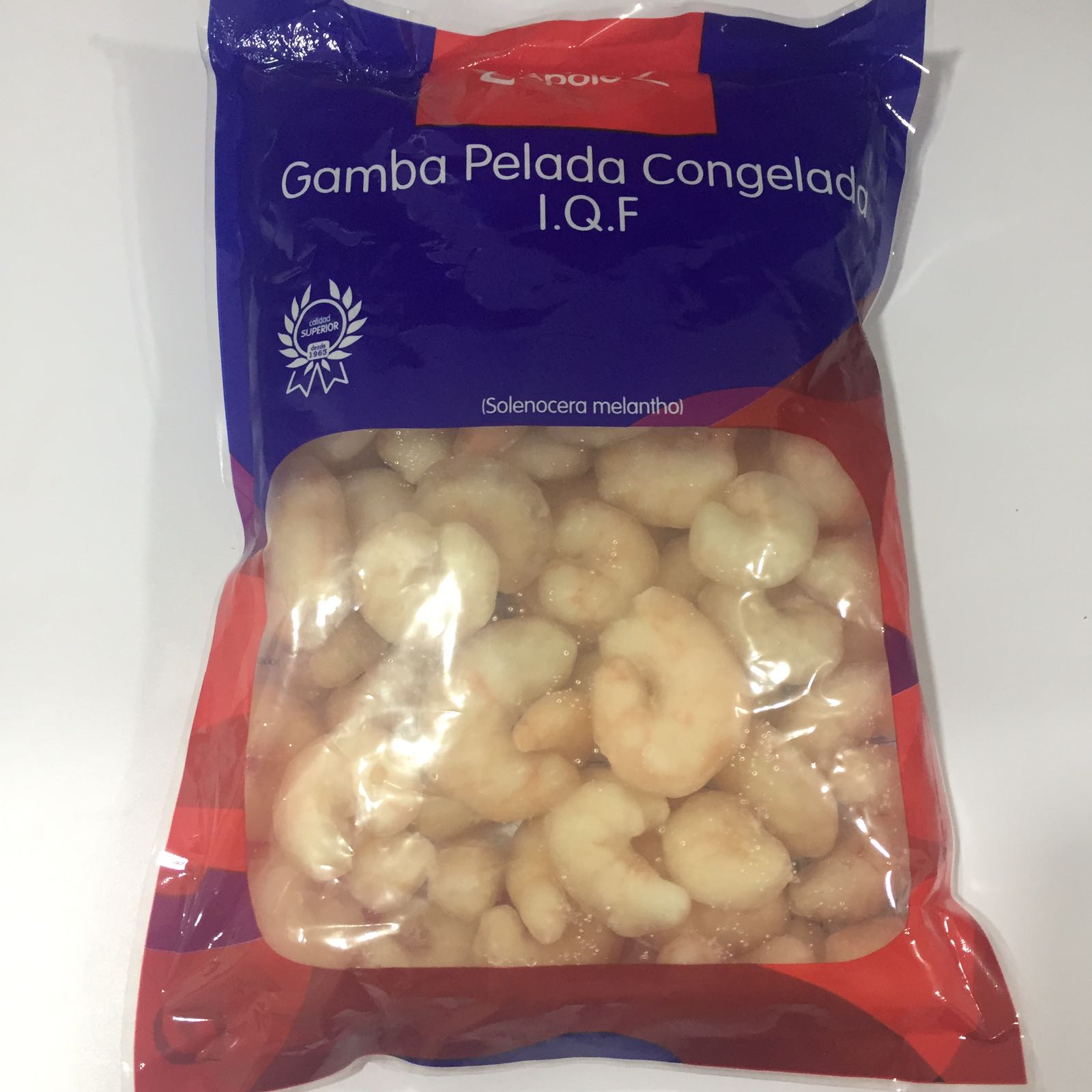 GAMBA PELADA 10/30 APOLO 5X1K