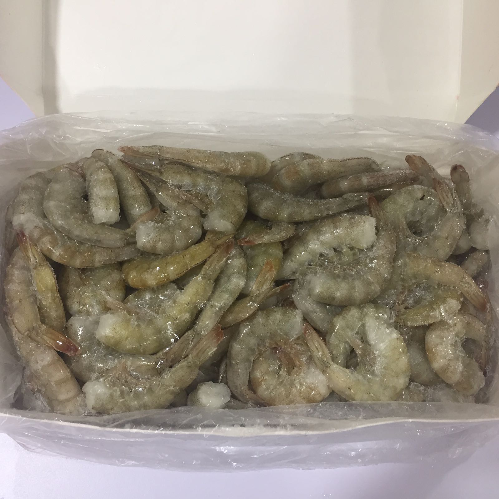 COLAS LANG. 36/40 APOLO 10X2KG