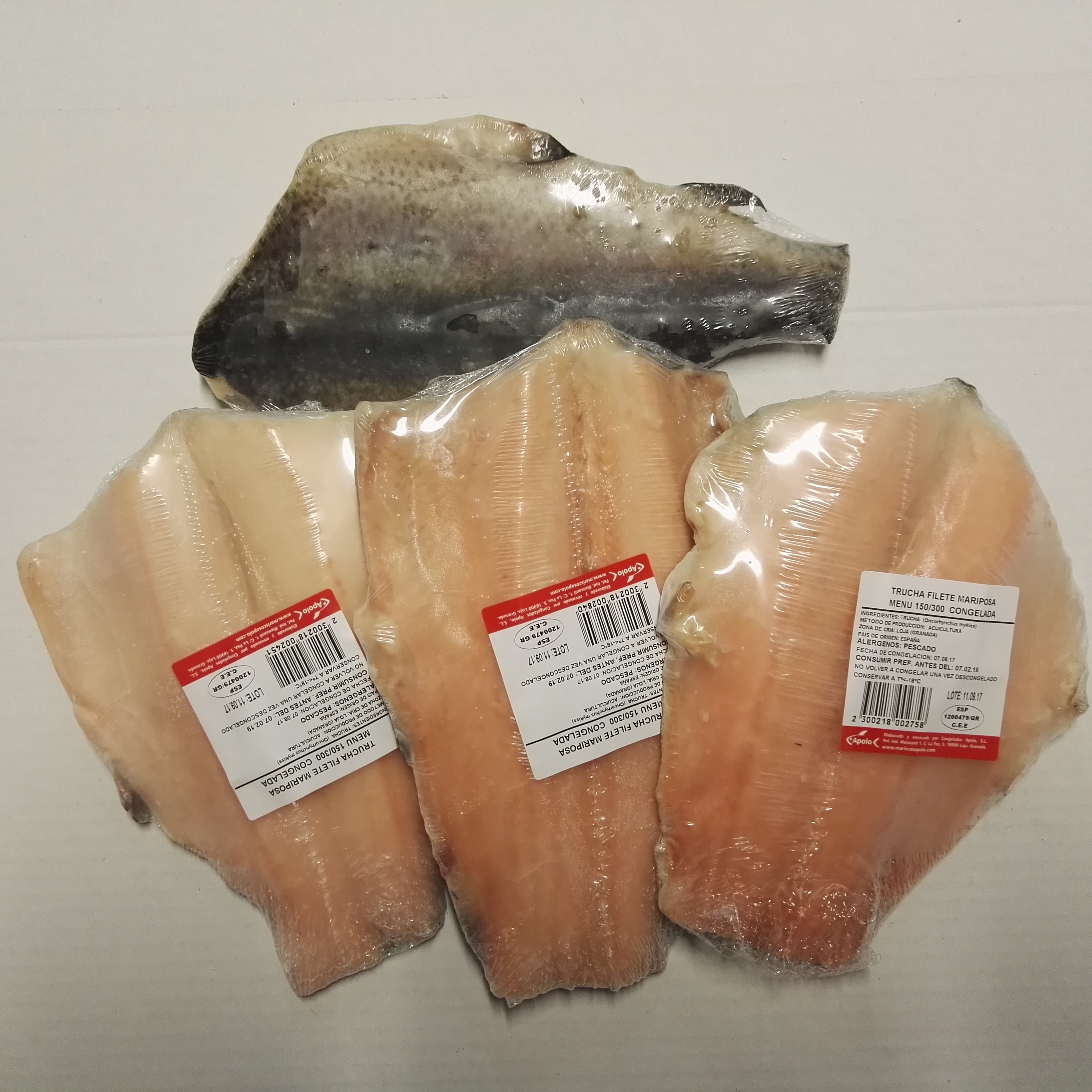FTE. TRUCHA 150/500 HIG. APOLO (5KG)