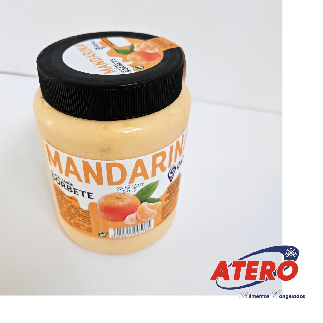 TARRO SORBETE MANDARINA GALVY 6X1LT.