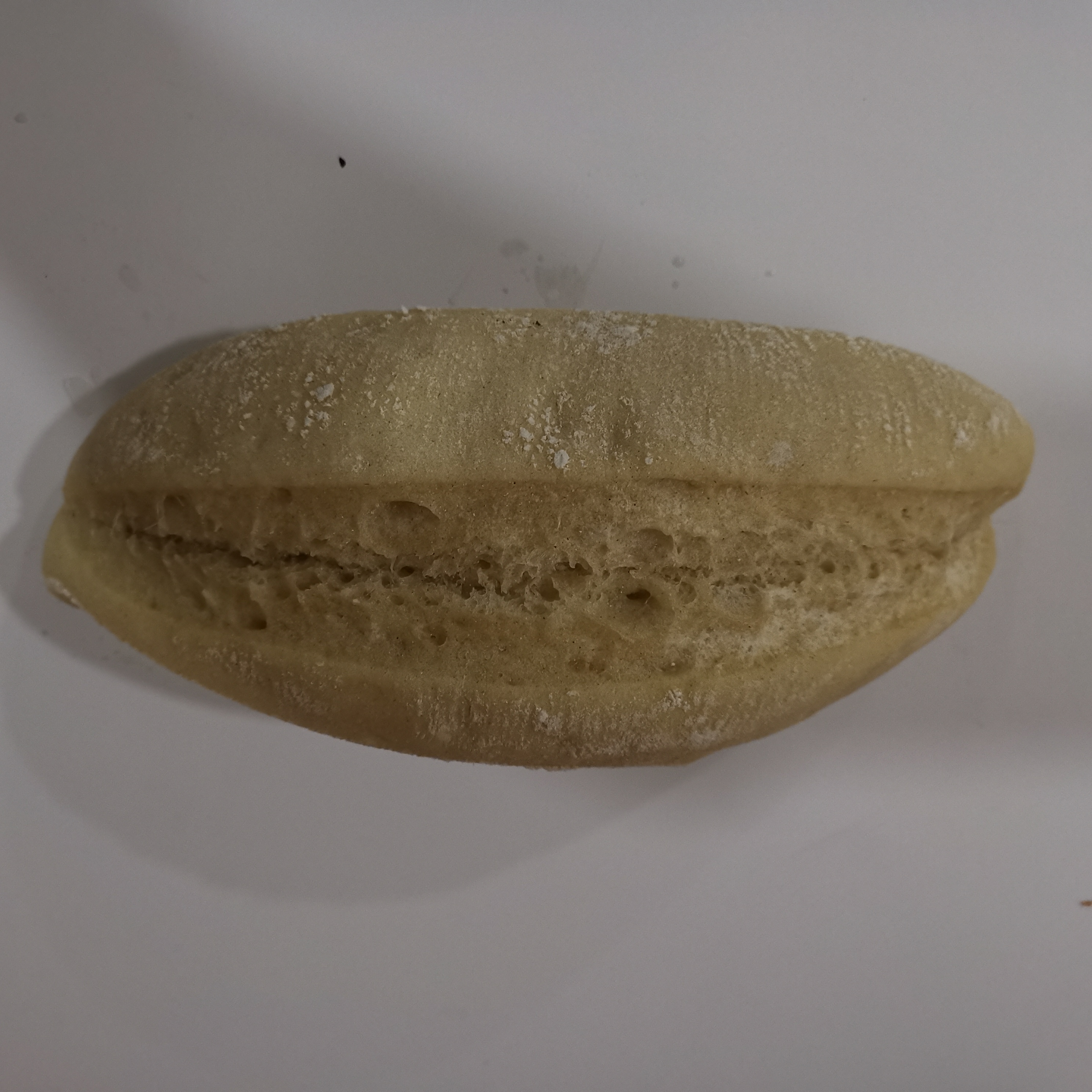 BOLLO LUCENTINO (50X120GR)
